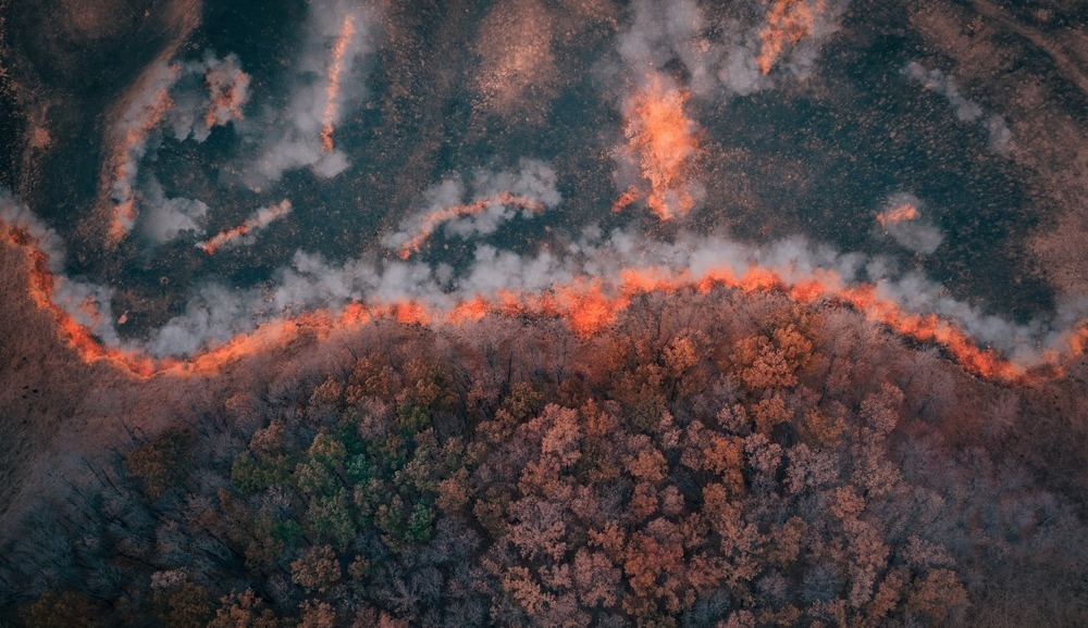 Spreading wildfire-1