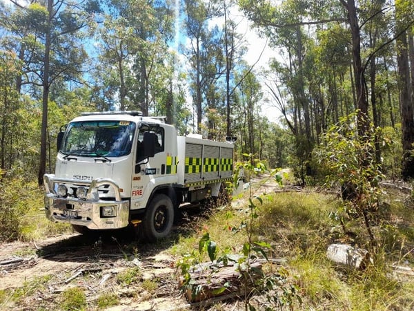 Truck in forest
