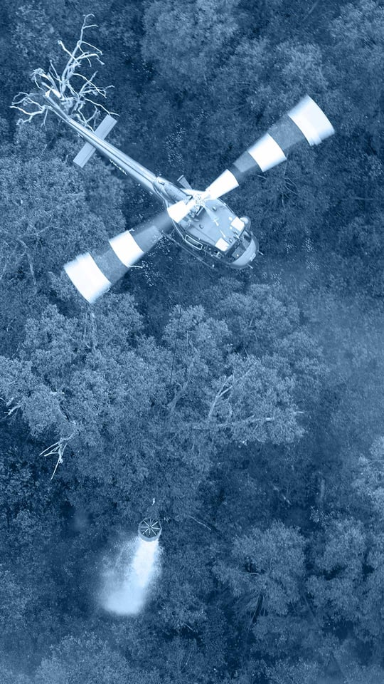 tint-vert-huey-01 tint-vert-huey-01