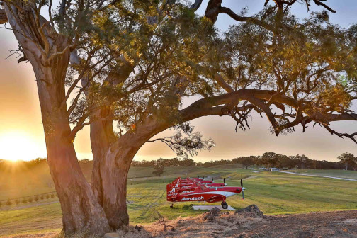 red planes on the field near tree