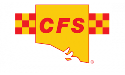 logo-CFS