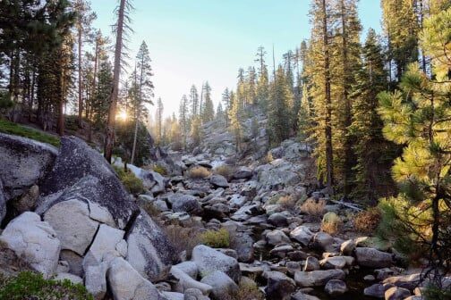 rocky terrain with trees