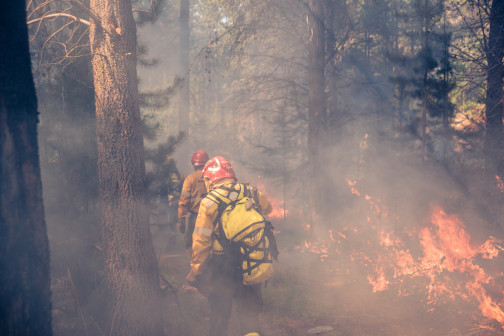 firefighters in wildfire